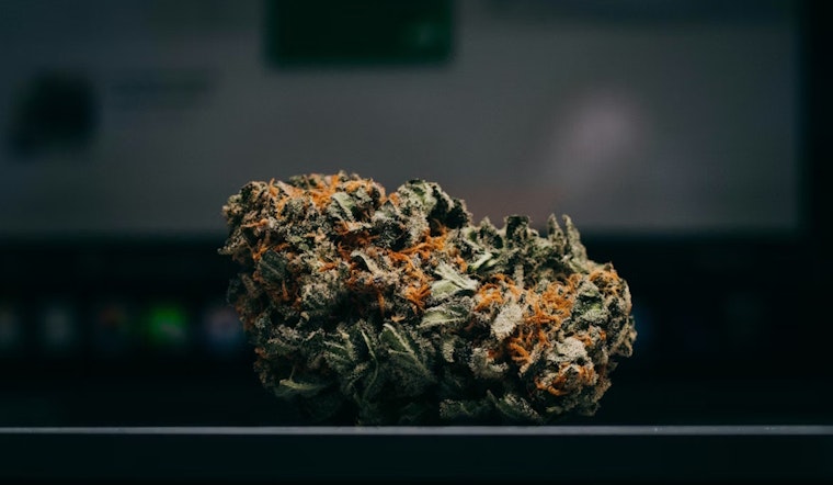 1,000lbs of Marijuana Seized; Mustang Man Arrested Near Clinton with $250k Bond