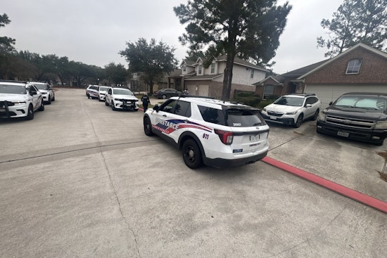 16-Year-Old in Custody Following Vehicle Burglary Near Burris Park Drive, Constable Praises Deputies' Swift Action