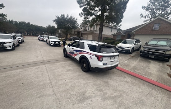 16-Year-Old in Custody Following Vehicle Burglary Near Burris Park Drive, Constable Praises Deputies' Swift Action