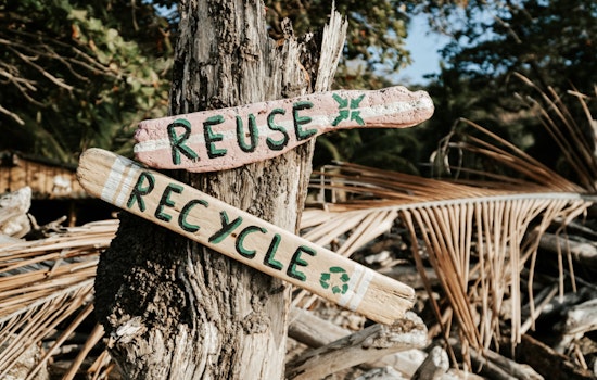 16th Annual America Recycles Day Merges Paper Recycling and Arbor Day Celebrations in Jacksonville