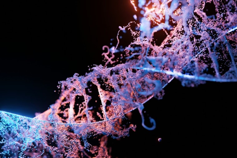 1982 Boston Man's Identity Revealed After 42 Years: DNA Doe Project Solves Ohio Cold Case