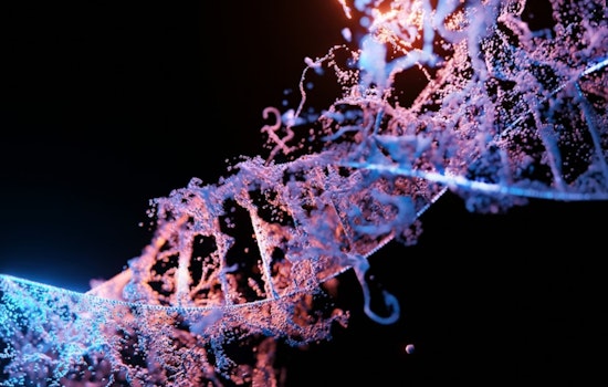 1982 Boston Man's Identity Revealed After 42 Years: DNA Doe Project Solves Ohio Cold Case