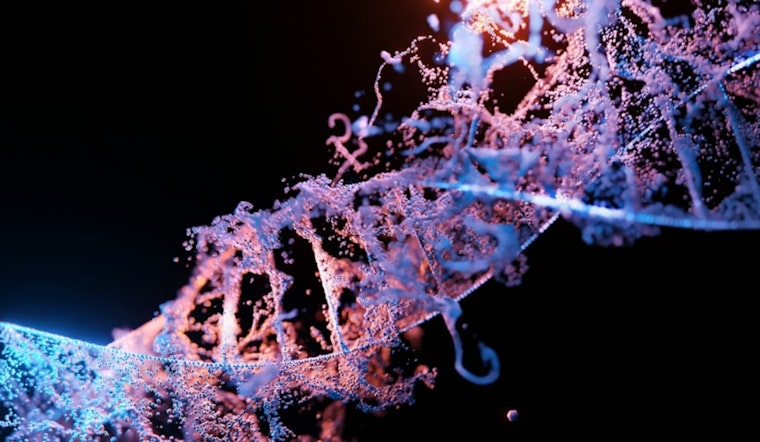 1982 Boston Man's Identity Revealed After 42 Years: DNA Doe Project Solves Ohio Cold Case