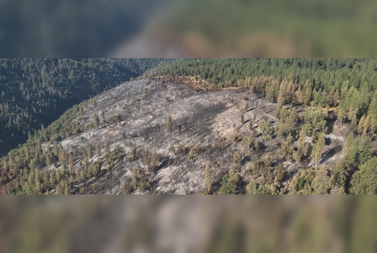 300 Acre Lifeline Above Tiger Creek Trips Up Tiger Fire Near Pioneer
