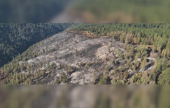 300 Acre Lifeline Above Tiger Creek Trips Up Tiger Fire Near Pioneer
