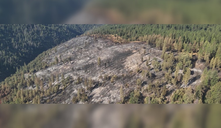 300 Acre Lifeline Above Tiger Creek Trips Up Tiger Fire Near Pioneer