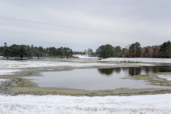 Dallas County Judge Jets To Costa Rica As Winter Storm Bears Down