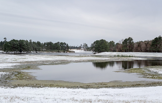 Dallas County Judge Jets To Costa Rica As Winter Storm Bears Down