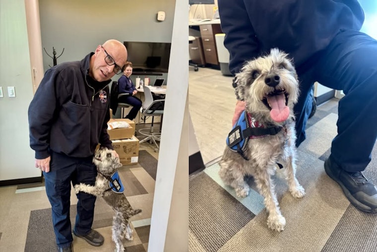 Adams County Fire Rescue Welcomes Therapy Dog Kora to Support First Responders and Schools