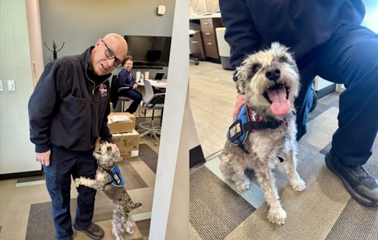 Adams County Fire Rescue Welcomes Therapy Dog Kora to Support First Responders and Schools