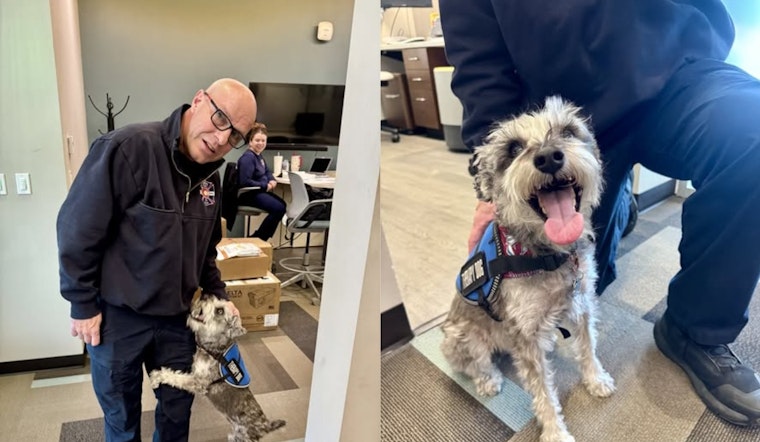 Adams County Fire Rescue Welcomes Therapy Dog Kora to Support First Responders and Schools
