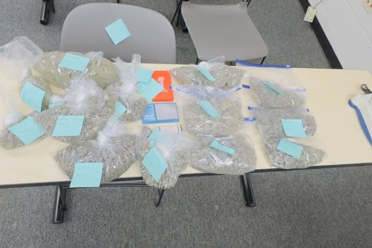 Alameda Police Uncover Over Four Pounds of Marijuana During Traffic Stop on Buena Vista Avenue