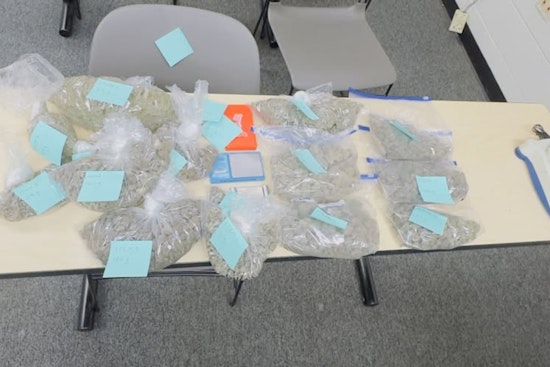 Alameda Police Uncover Over Four Pounds of Marijuana During Traffic Stop on Buena Vista Avenue