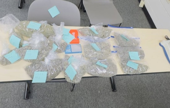Alameda Police Uncover Over Four Pounds of Marijuana During Traffic Stop on Buena Vista Avenue