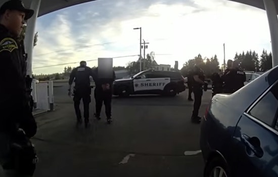 Alleged GameStop Thieves Snagged by Quick-Acting Law Enforcement in Spanaway