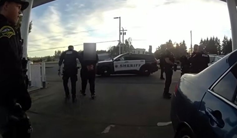 Alleged GameStop Thieves Snagged by Quick-Acting Law Enforcement in Spanaway