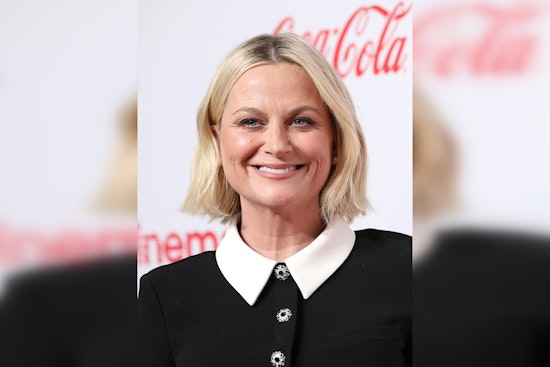Amy Poehler Wins Inaugural Best Podcast Award at the 83rd Golden Globes for "Good Hang"