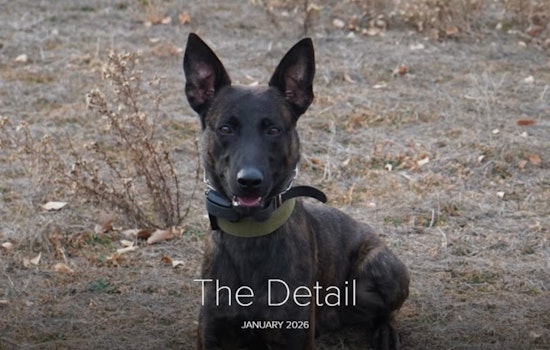 Arapahoe County Sheriff's Office Enhances SWAT Team with Trained Narcotics K9 Unit