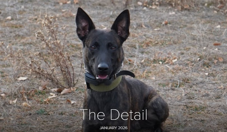 Arapahoe County Sheriff's Office Enhances SWAT Team with Trained Narcotics K9 Unit
