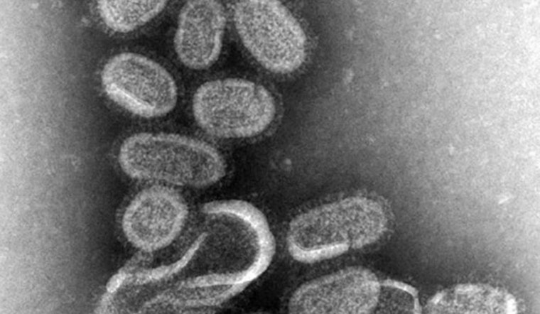 Arizona on High Alert as 'Super Flu' Variant Drives Spike in Cases, Affecting Younger Population