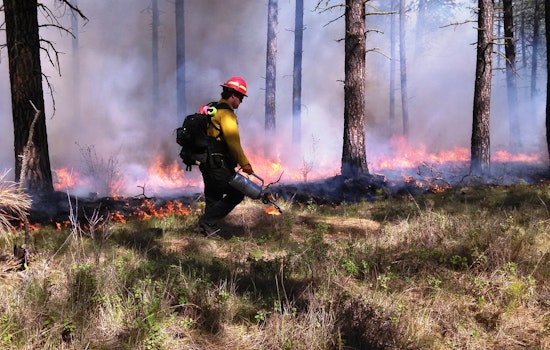 Arizona's Strategy Against Wildfires: Prescribed Burns Initiated at Lost Dutchman State Park