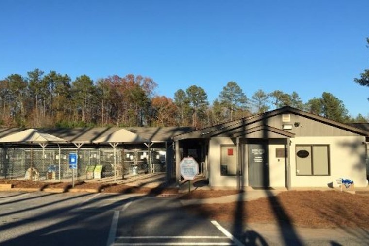 Athens-Clarke County Animal Services Adjusts Field Operations Schedule Due to Staff Shortages