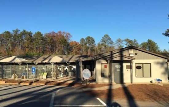 Athens-Clarke County Animal Services Adjusts Field Operations Schedule Due to Staff Shortages