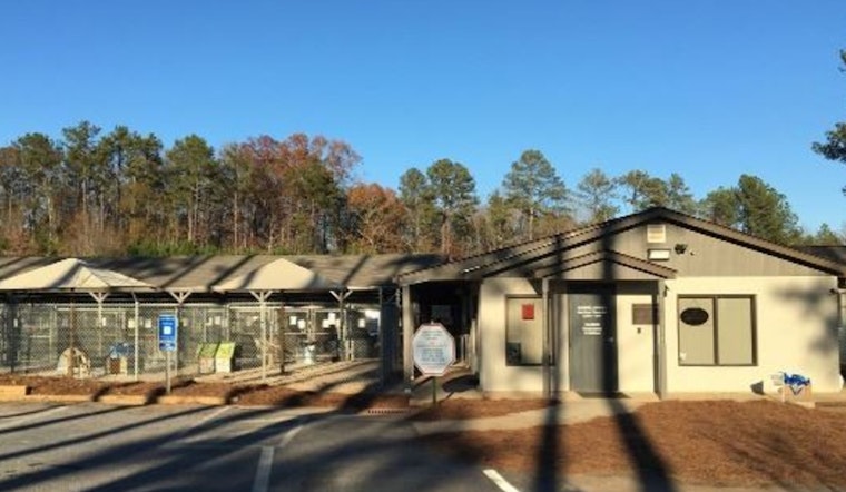 Athens-Clarke County Animal Services Adjusts Field Operations Schedule Due to Staff Shortages