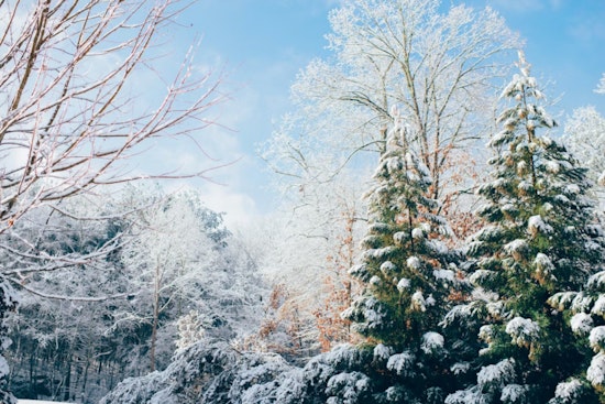 Atlanta Braces for Chilly Winds and Possible Snow Showers as January Ends