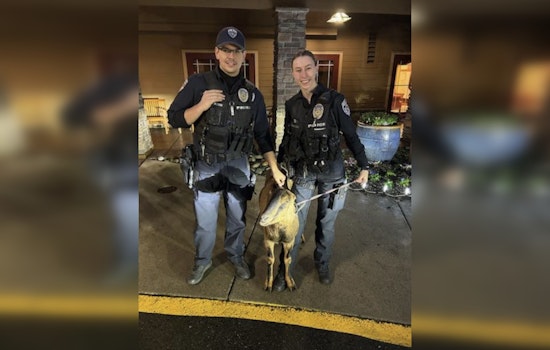 Auburn's Fugitive Goat Ruby Wins Hearts After Comical Police Encounter