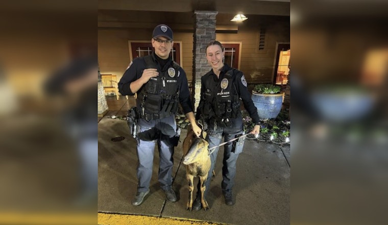 Auburn's Fugitive Goat Ruby Wins Hearts After Comical Police Encounter