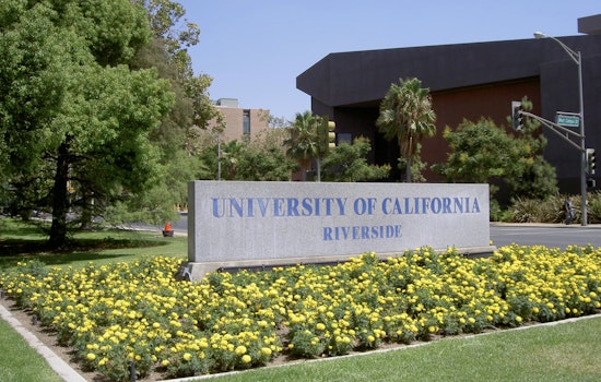 Australian Phenom Hannah Wickstrom Leads UC Riverside to Victory Over Hawaii's Rainbow Wahine in Intense Basketball Showdown