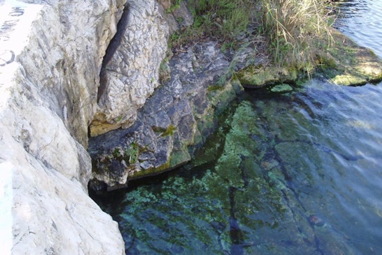 Barton Springs On The Brink As Stage 4 Drought Threatens South Austin