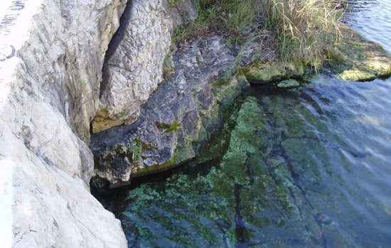 Barton Springs On The Brink As Stage 4 Drought Threatens South Austin