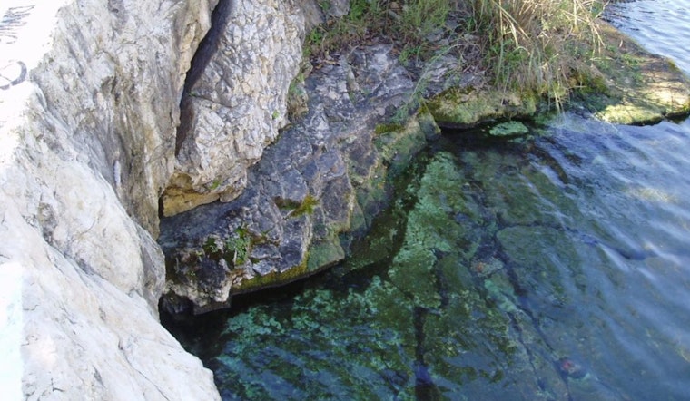 Barton Springs On The Brink As Stage 4 Drought Threatens South Austin