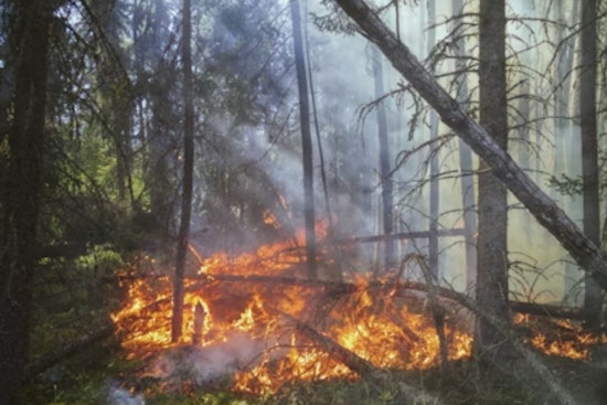 Bay Area Lab’s ‘Frankenfire’ Forecast Aims To Outrun Mega-Blazes