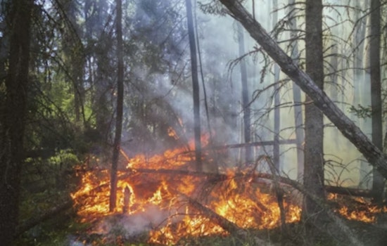 Bay Area Lab’s ‘Frankenfire’ Forecast Aims To Outrun Mega-Blazes
