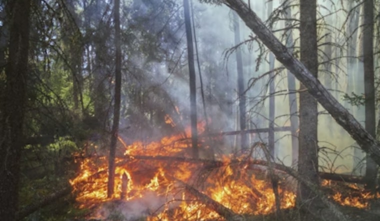 Bay Area Lab’s ‘Frankenfire’ Forecast Aims To Outrun Mega-Blazes
