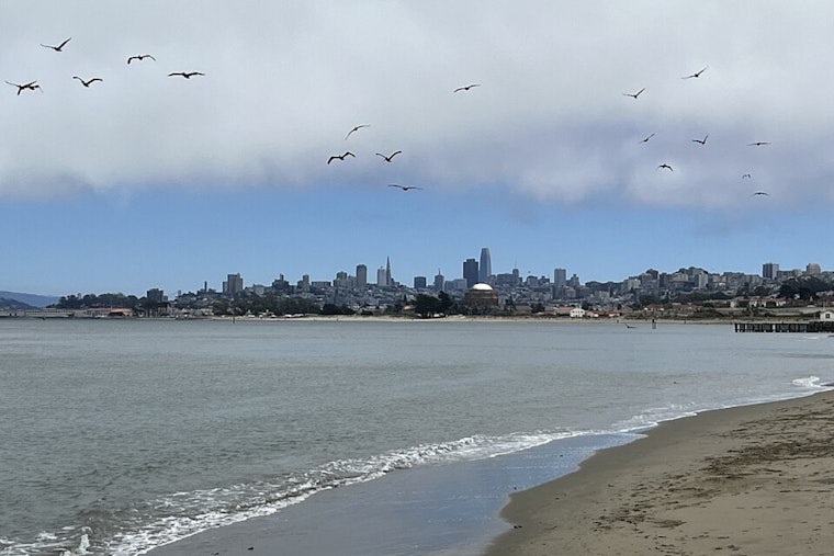 Bay Area's Deep Freeze Ends With 10-Degree Warmup, But Stay Off The Beach