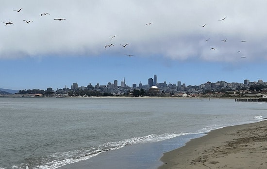 Bay Area's Deep Freeze Ends With 10-Degree Warmup, But Stay Off The Beach