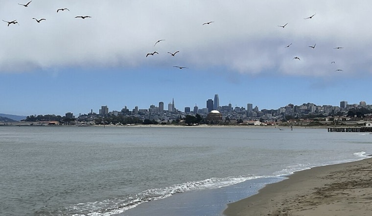 Bay Area's Deep Freeze Ends With 10-Degree Warmup, But Stay Off The Beach
