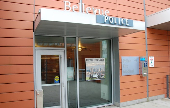 Bellevue Burglary Crew on the Loose, Cops Want Names