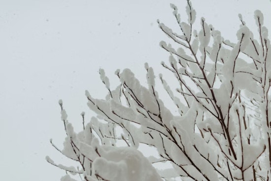 Blendon Township Police Prioritize Well-being Checks for Vulnerable Citizens Amid Snowstorm and Power Outage