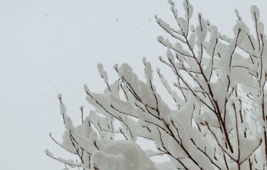 Blendon Township Police Prioritize Well-being Checks for Vulnerable Citizens Amid Snowstorm and Power Outage