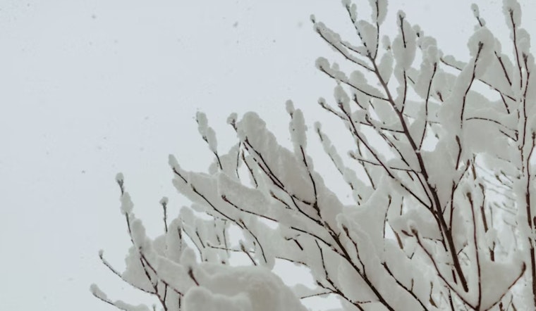 Blendon Township Police Prioritize Well-being Checks for Vulnerable Citizens Amid Snowstorm and Power Outage
