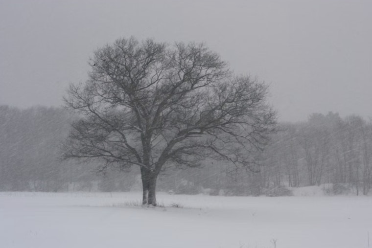 Boone County Battles Fierce Winter Storm as Officials Urge Residents to Stay Home Amid Hazardous Conditions