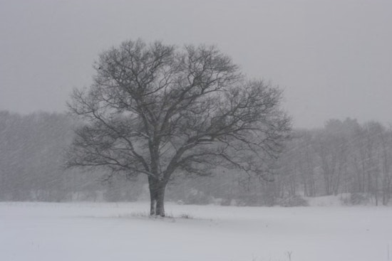 Boone County Battles Fierce Winter Storm as Officials Urge Residents to Stay Home Amid Hazardous Conditions