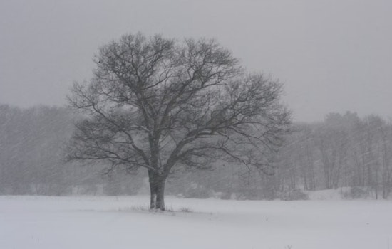 Boone County Battles Fierce Winter Storm as Officials Urge Residents to Stay Home Amid Hazardous Conditions