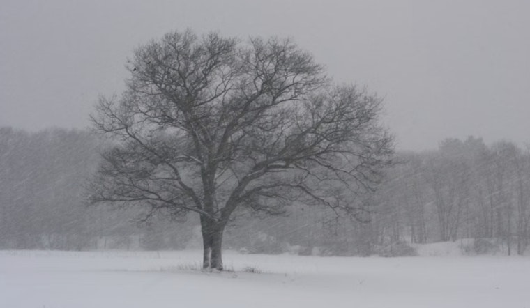 Boone County Battles Fierce Winter Storm as Officials Urge Residents to Stay Home Amid Hazardous Conditions