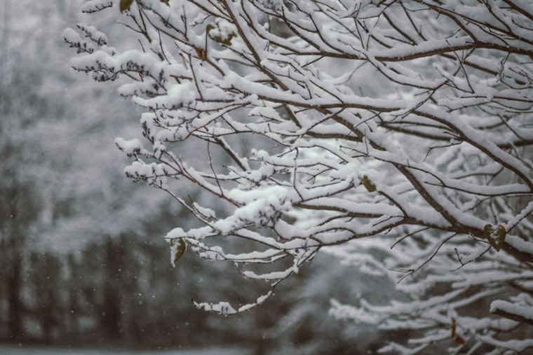 Boston Braces for Major Winter Blast as Frigid Temps and Up to 16 Inches of Snow Expected